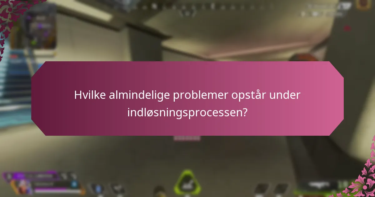 Hvilke almindelige problemer opstår under indløsningsprocessen?